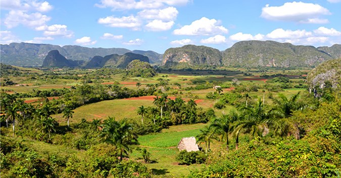 Terres Cubaines