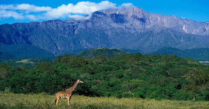 Tanzania Private Safari with Zanzibar