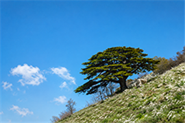 North Lebanon like never before