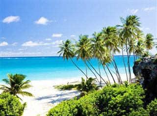 Dominican Republic, Antilles, Virgin Islands, Canary Islands, Morocco, Spain, Corsica (France), Italy & France