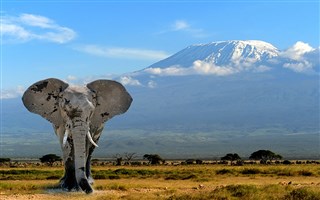 Tanzania Pride Safari (Classic Tour of Tanzania)