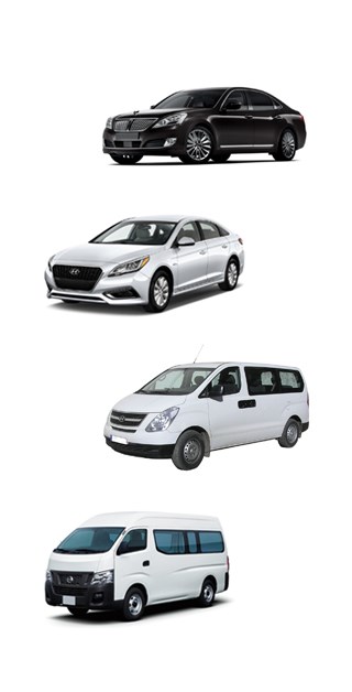 Car Rental with Driver