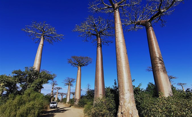 L'île rouge secrète