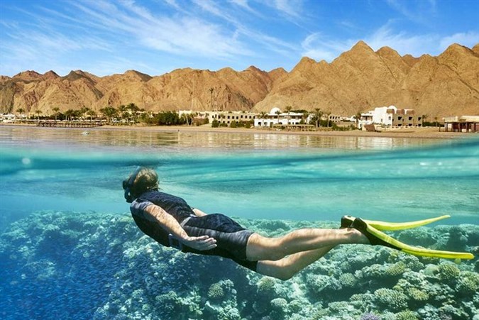 KSA & Egypt